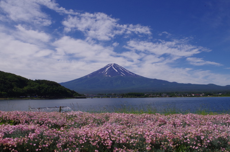 富士山画像記録