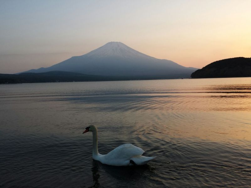 富士山画像作品