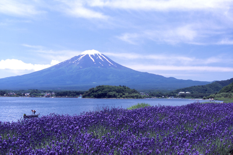 富士山画像記録