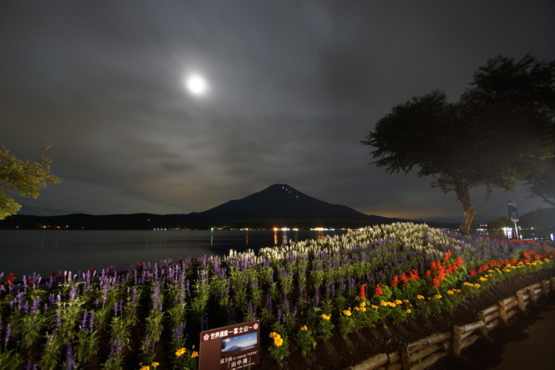 富士山画像記録