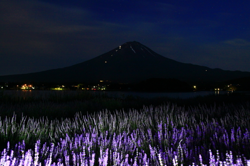 富士山画像記録