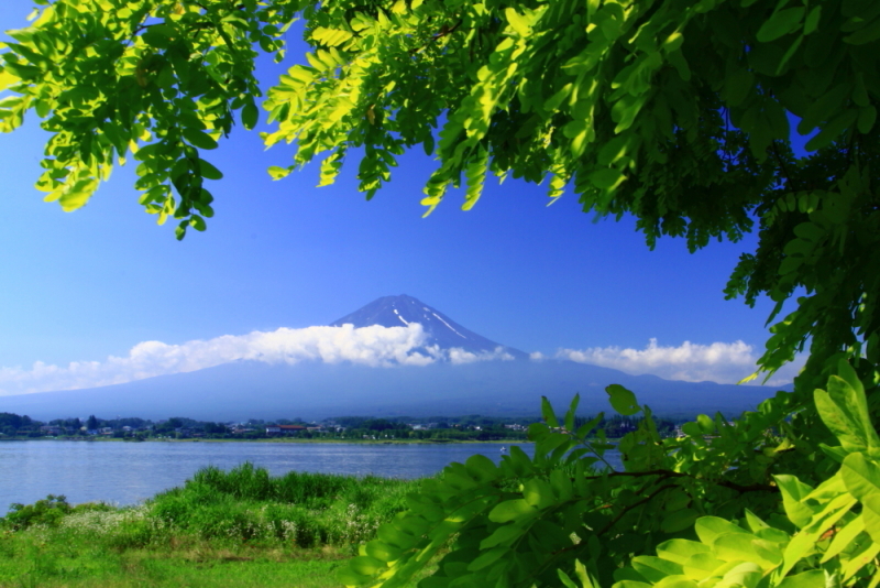 富士山画像記録