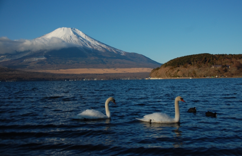 富士山画像作品