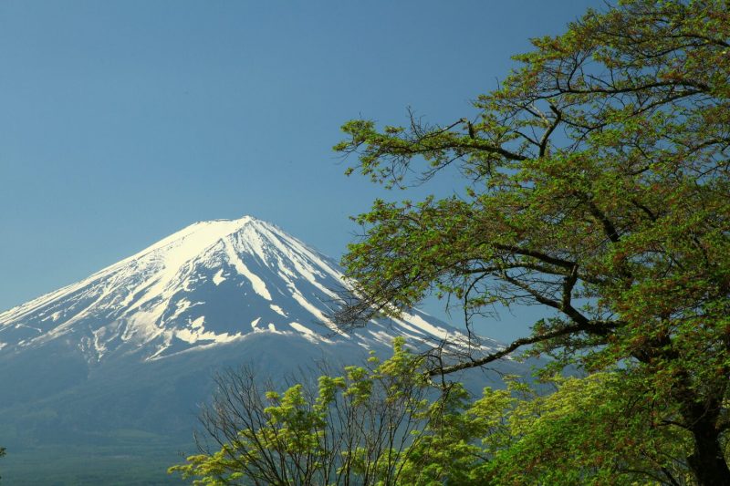 富士山画像作品