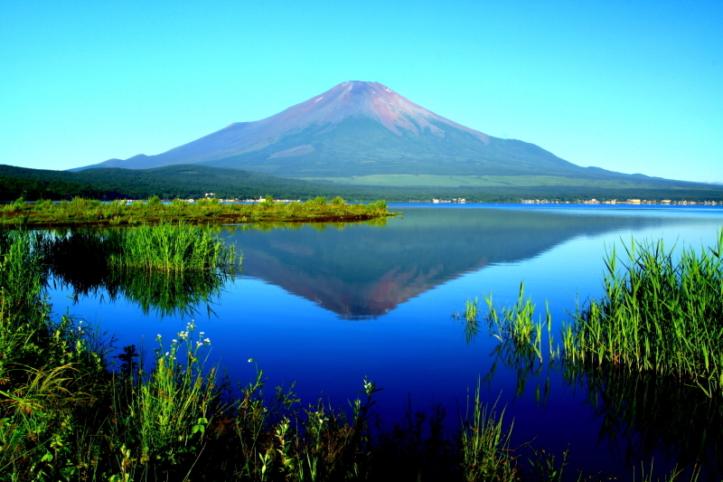 富士山画像記録