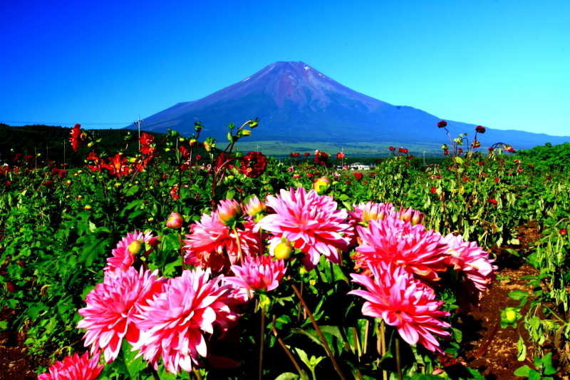 富士山画像記録