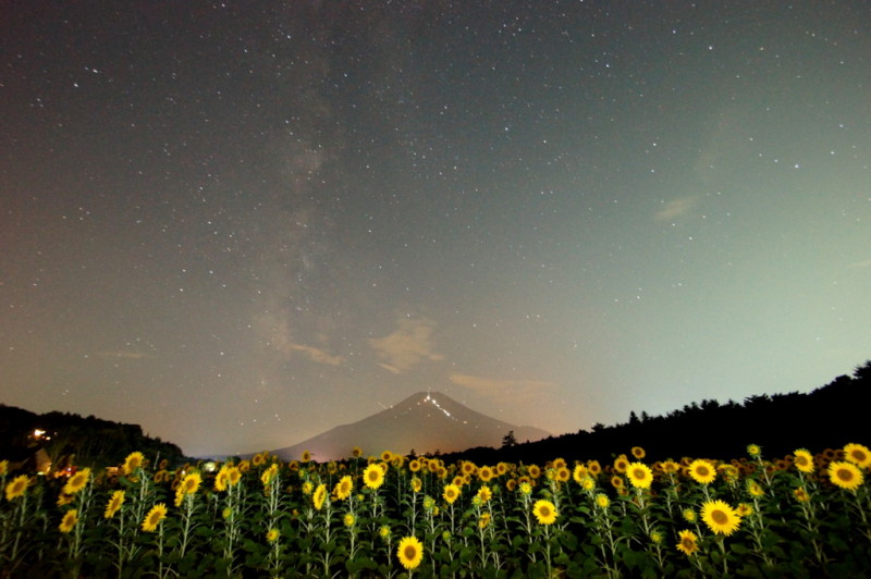 富士山画像記録