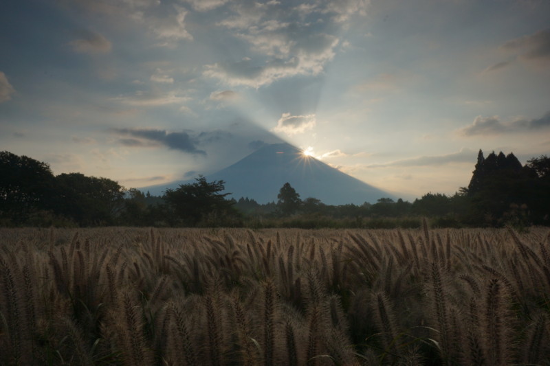 富士山画像記録