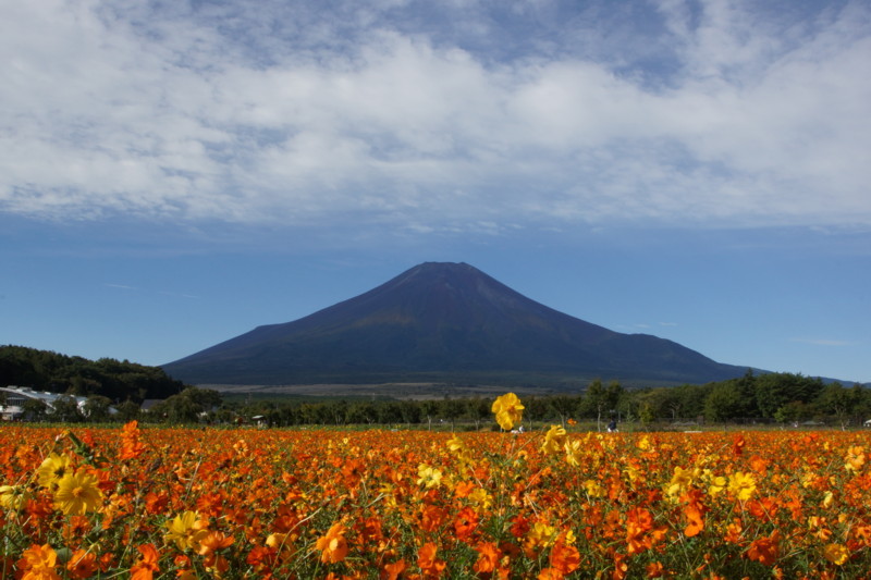 富士山画像記録