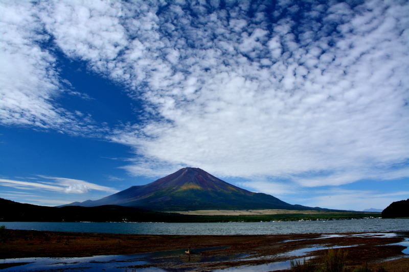 富士山画像作品