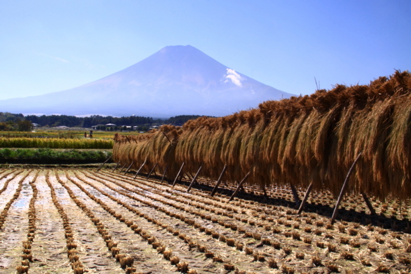 富士山画像記録