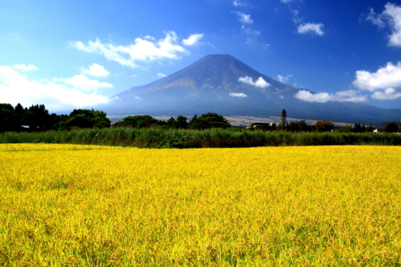 富士山画像記録