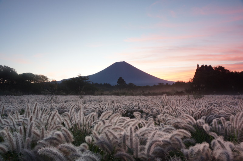 富士山画像記録