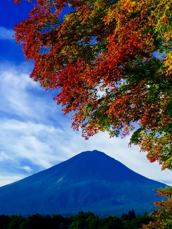 富士山画像記録