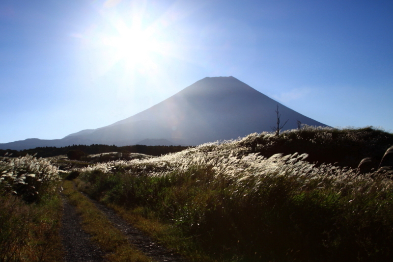 富士山画像記録