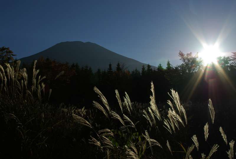 富士山画像作品