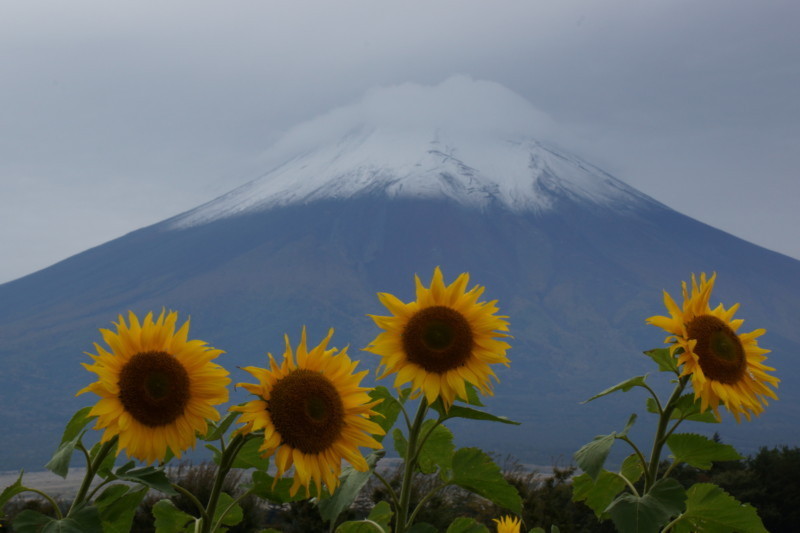 富士山画像記録