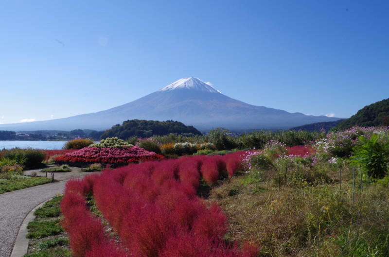 富士山画像記録