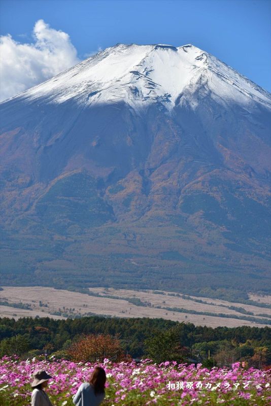 富士山画像作品