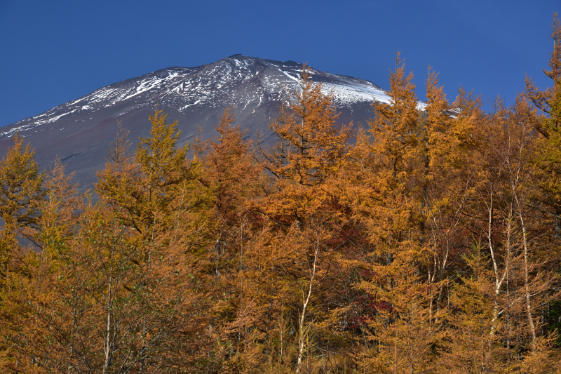 富士山画像作品