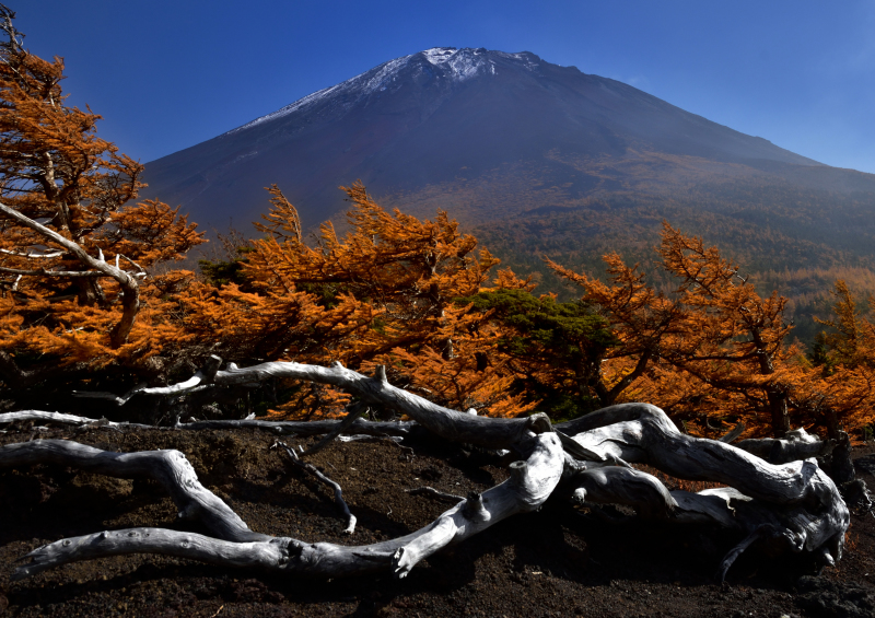 富士山画像作品