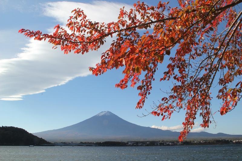 富士山画像作品