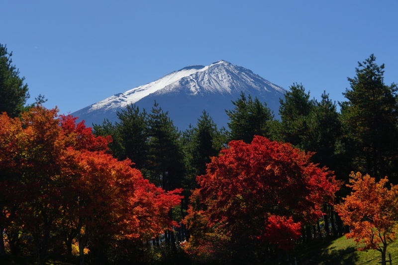 富士山画像作品