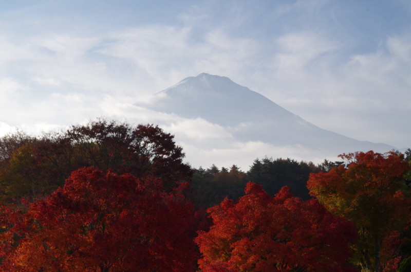 富士山画像記録