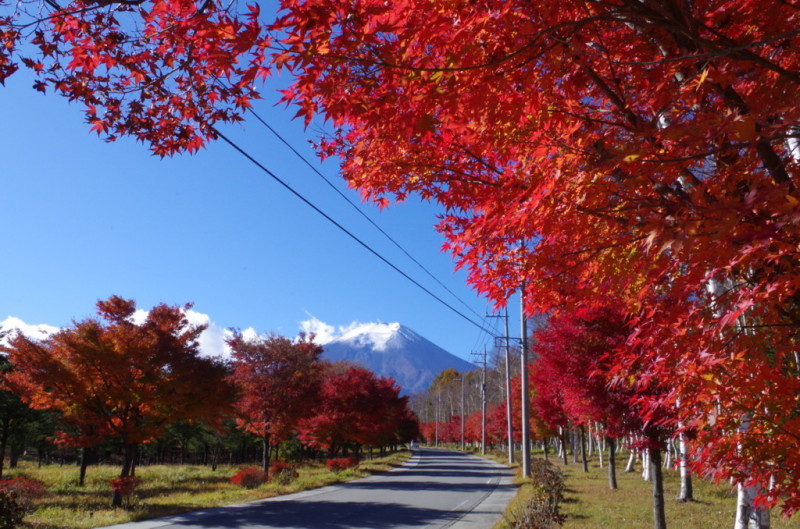 富士山画像記録