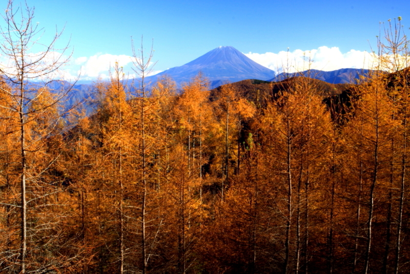 富士山画像記録