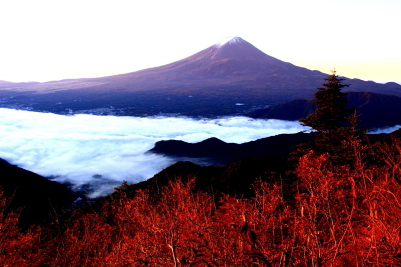 富士山画像記録