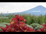 富士山画像作品