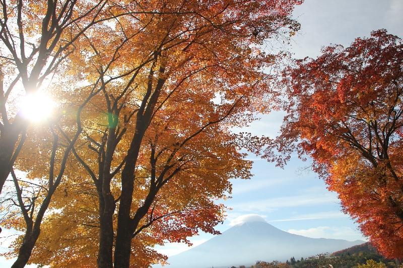 富士山画像作品