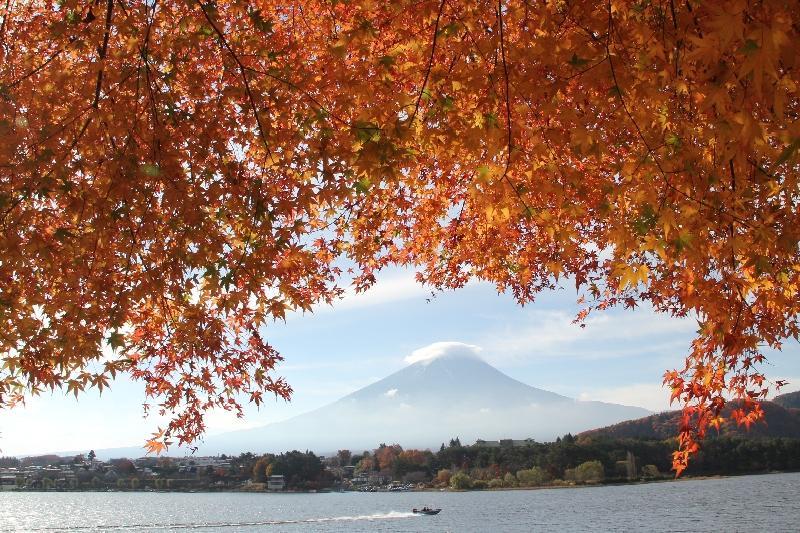 富士山画像作品