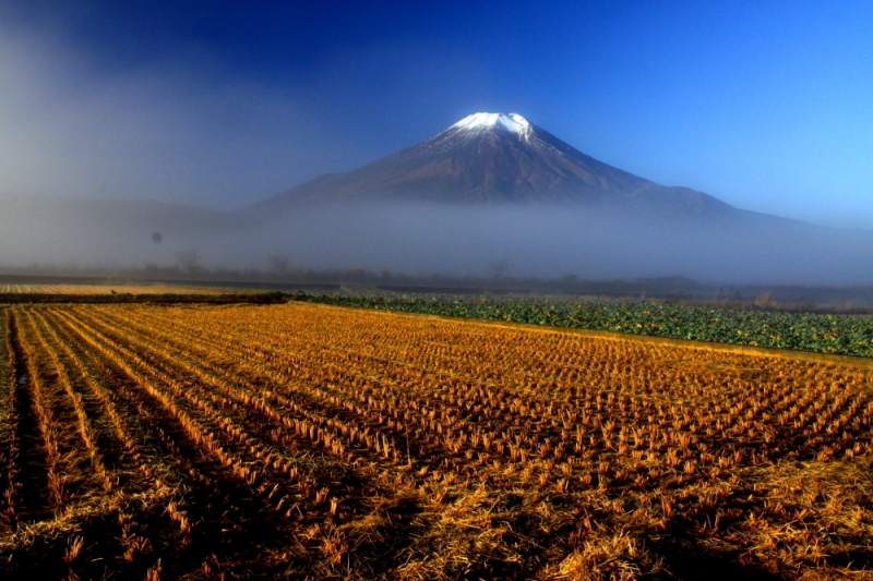 富士山画像記録