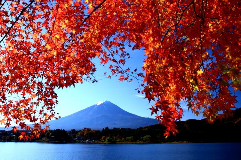 富士山画像記録