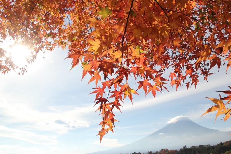 富士山画像作品