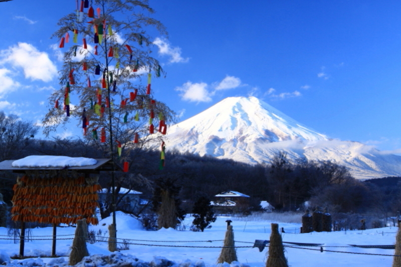 富士山画像記録