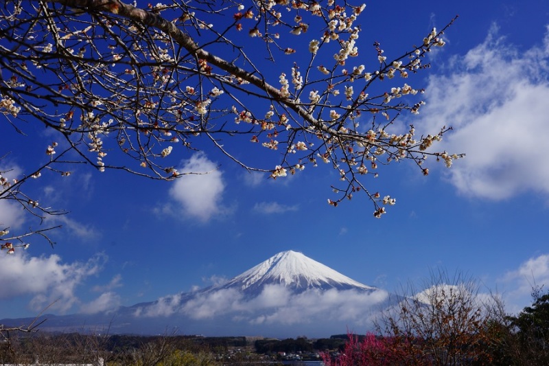 富士山画像作品