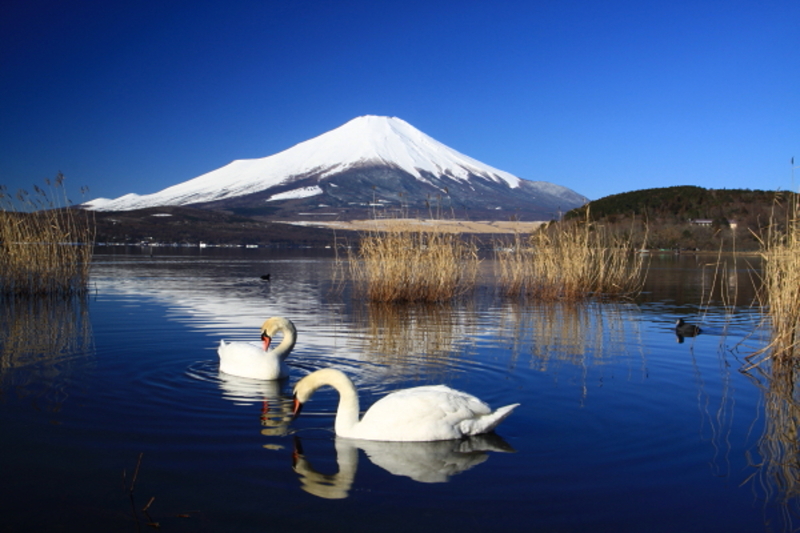 富士山画像記録