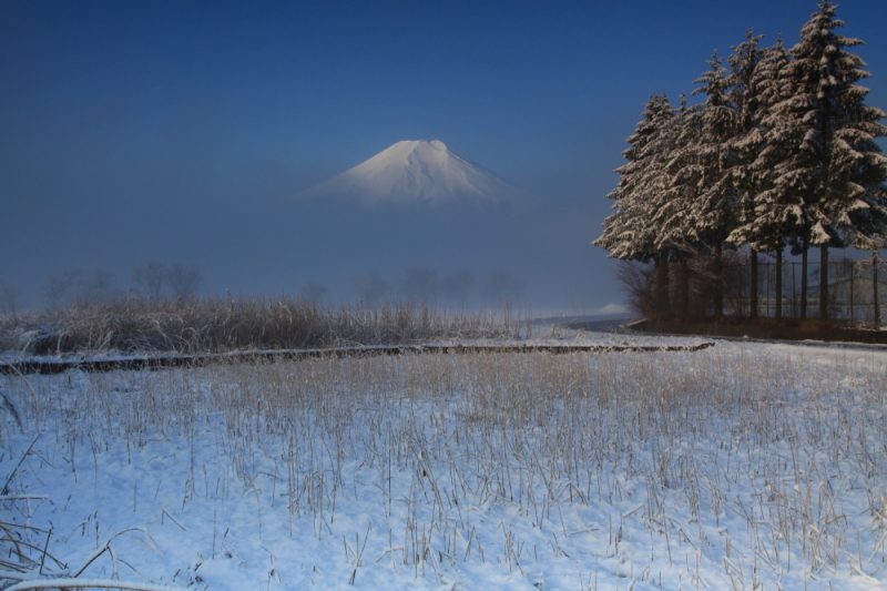 富士山画像記録