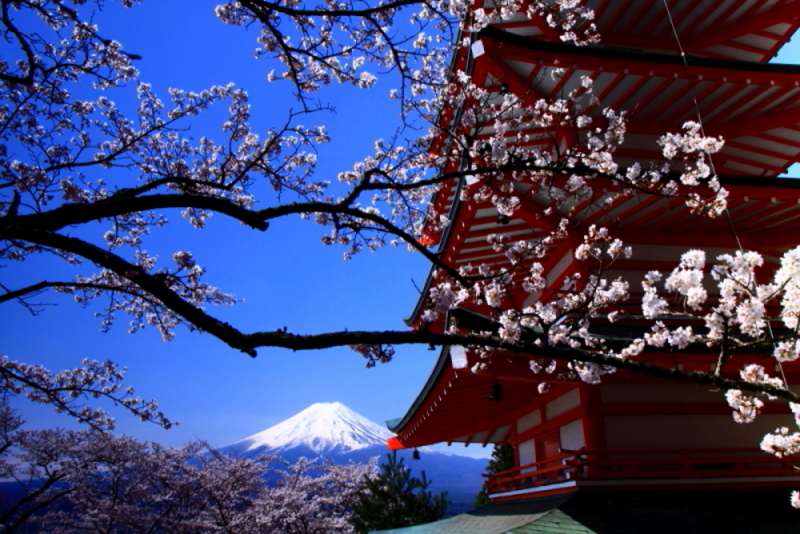 富士山画像記録