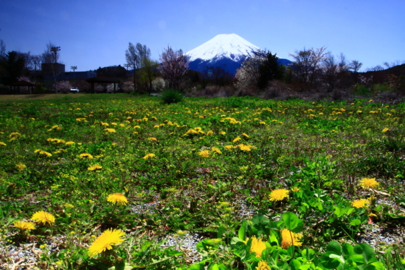 富士山画像記録