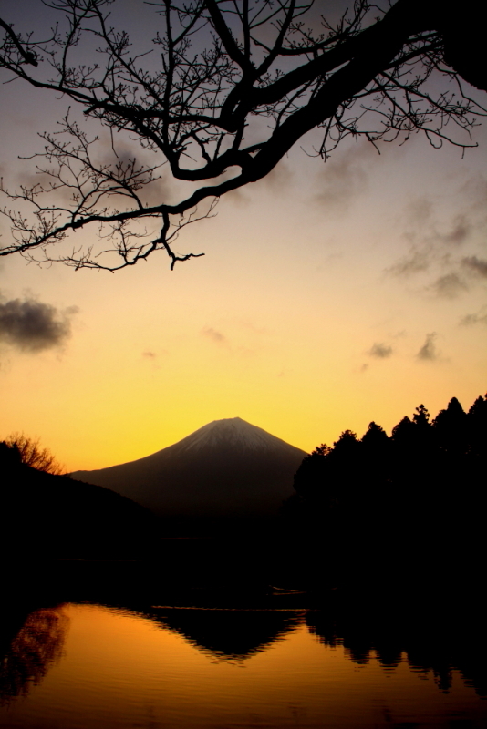 富士山画像記録