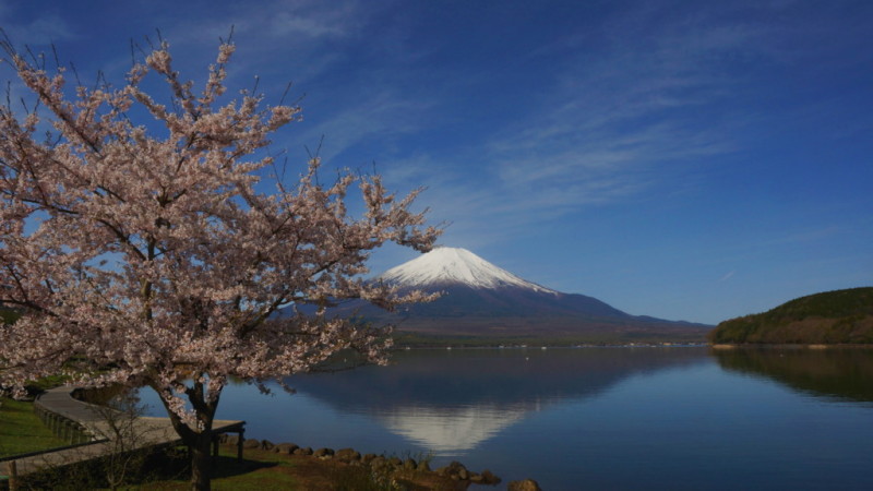 富士山画像記録