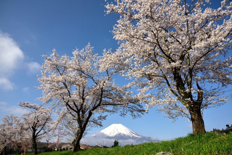 富士山画像記録