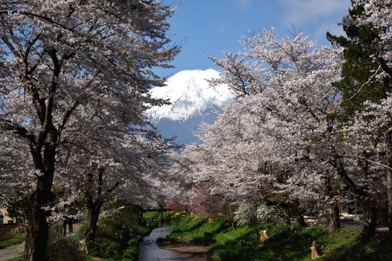 富士山画像記録