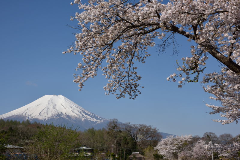 富士山画像記録