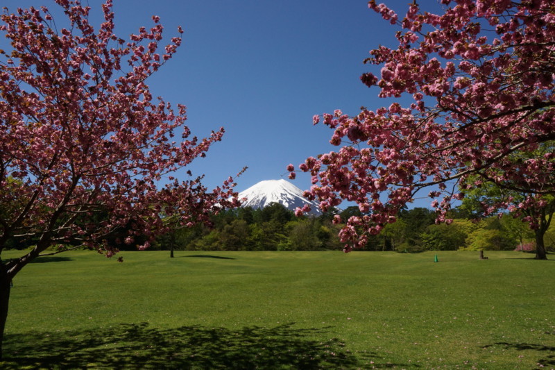 富士山画像記録