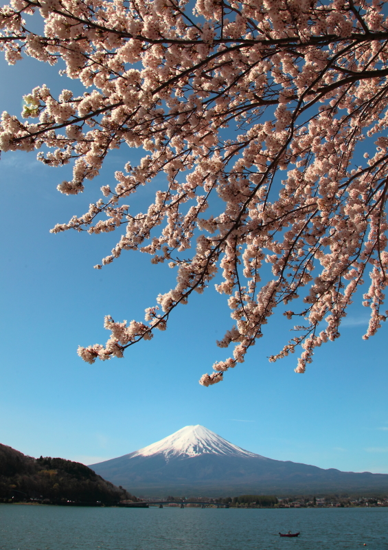 富士山画像作品